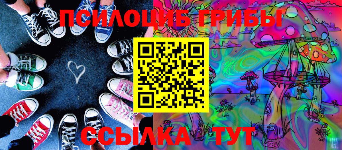 Владимир  Псилоцибиновые грибы Cubensis  Галлюциногенные грибы Psilocybine cubensis  Вход с VPN 