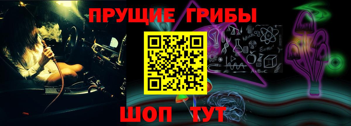 Галлюциногенные грибы Psilocybe Владимир