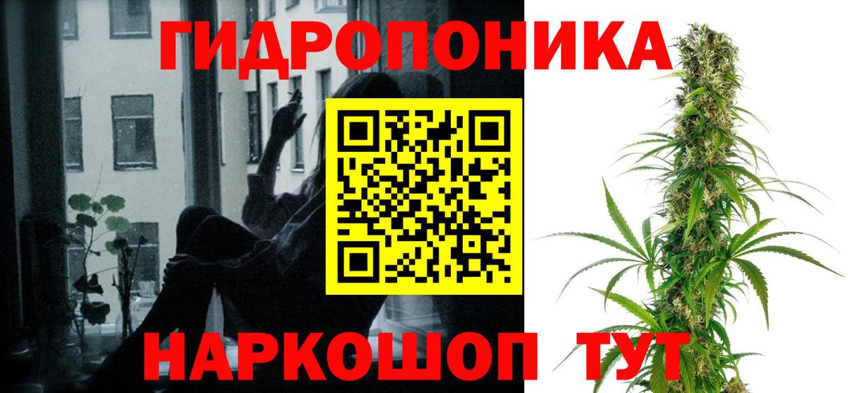 Канабис план Владимир